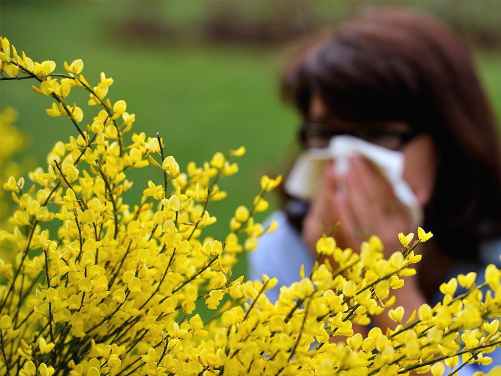 Hay fever outbreak expected as Met Office warns over soaring pollen